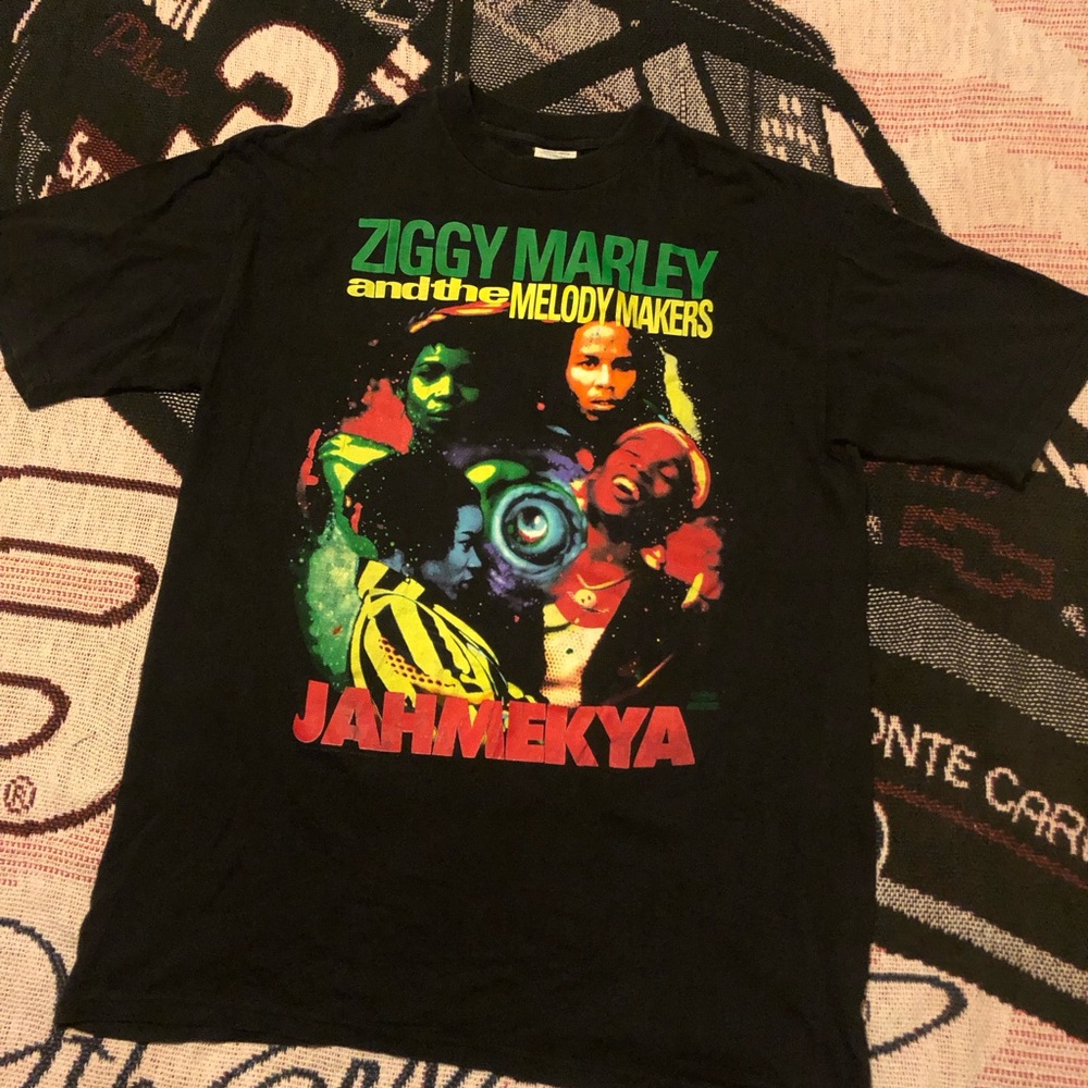 Ziggy Marley and the melody makers Jahmekya Tee